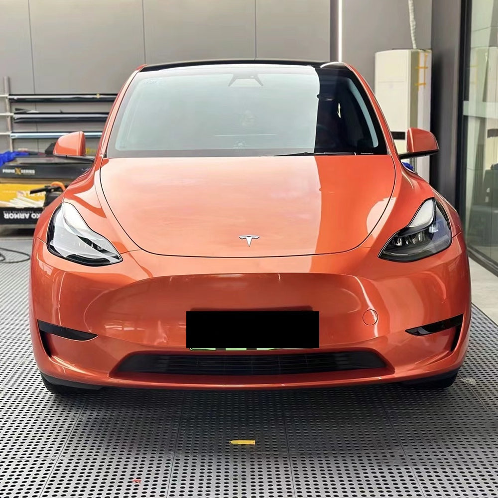Pet Glossy Gulf Orange