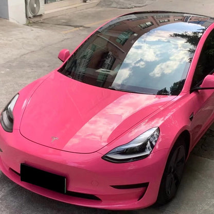 Pet Princess Pink